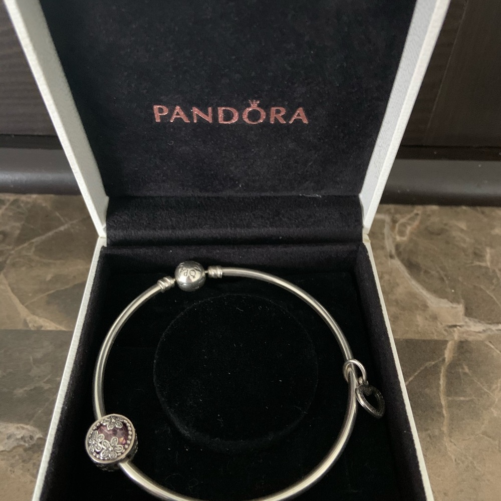 Pandora bracelet